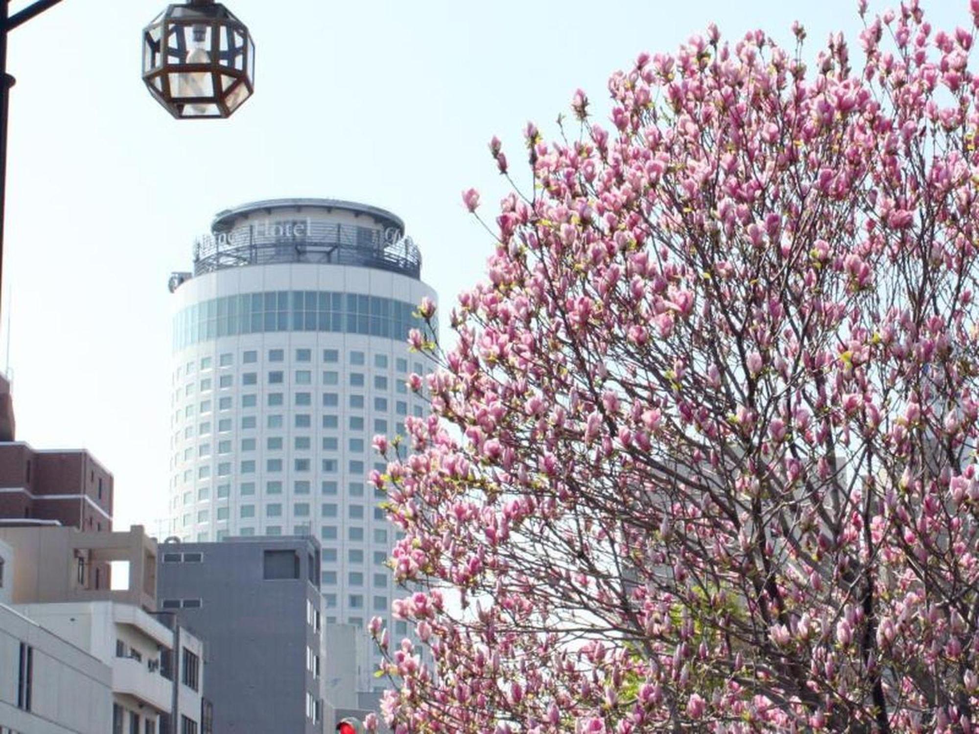 Sapporo Prince Hotel Kültér fotó
